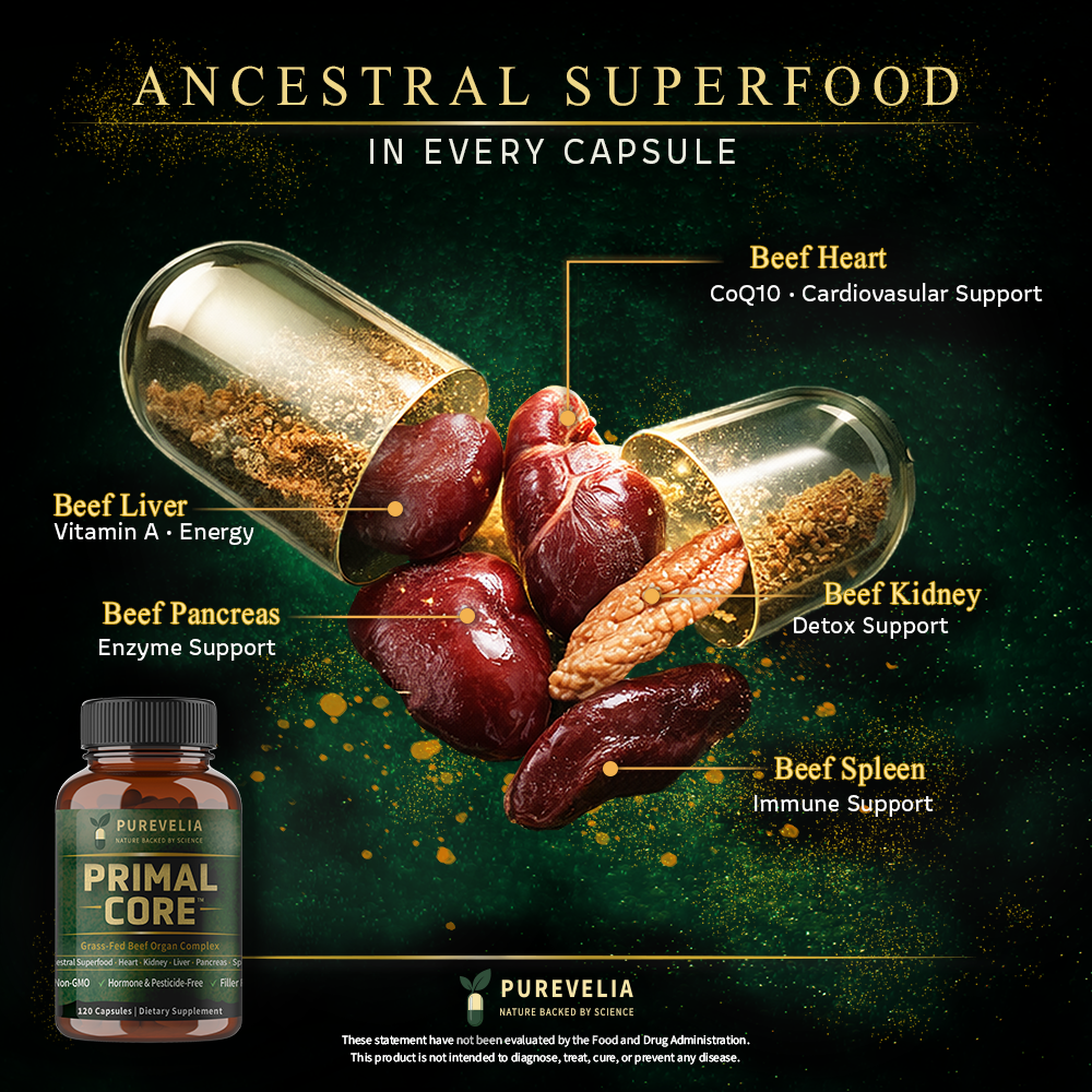 Grass-fed beef organ ingredients used in Purevelia supplements — whole-food, nutrient-dense nutrition